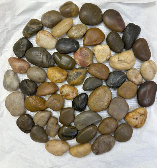 River Rock Garden Stepping Stone - D12", Mixed Color, Polished Finish, Pack of 8, $11.04/pc